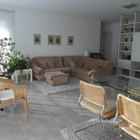 großzügige,zetrumsnahe Wohnung Dresden Exterior foto