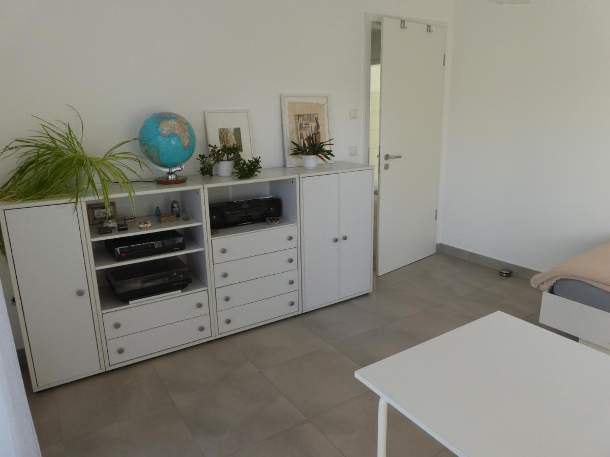 großzügige,zetrumsnahe Wohnung Dresden Exterior foto